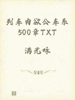 列车肉欲公车系500章TXT