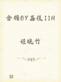 含糖BY荔枝11H