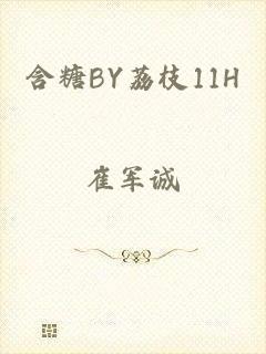 含糖BY荔枝11H