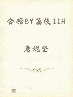 含糖BY荔枝11H