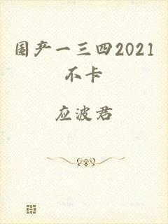 国产一三四2021不卡