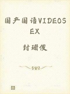 国产国语VIDEOSEX