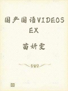 国产国语VIDEOSEX