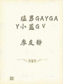 國産猛男GAYGAY小蓝GⅤ