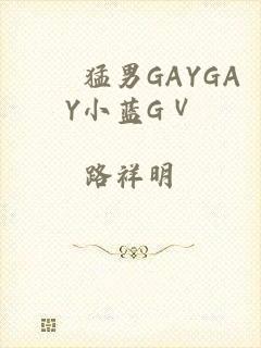 國産猛男GAYGAY小蓝GⅤ