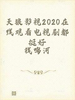 天狼影视2020在线观看电视剧都挺好