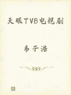 天眼TVB电视剧