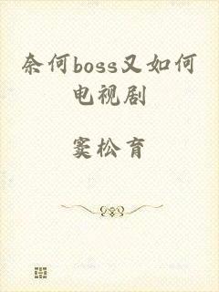 奈何boss又如何电视剧