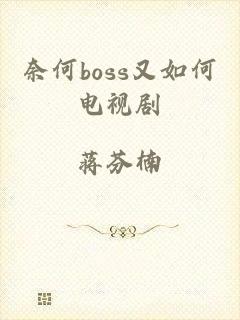 奈何boss又如何电视剧