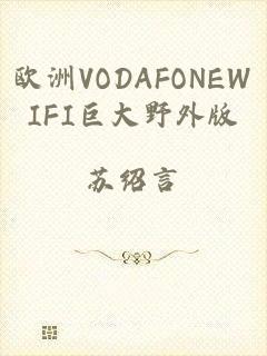 欧洲VODAFONEWIFI巨大野外版