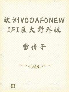 欧洲VODAFONEWIFI巨大野外版