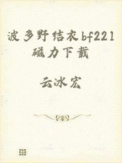 波多野结衣bf221磁力下载