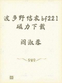 波多野结衣bf221磁力下载