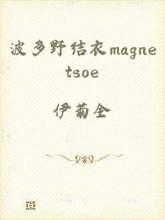 波多野结衣magnetsoe