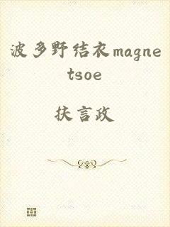 波多野结衣magnetsoe