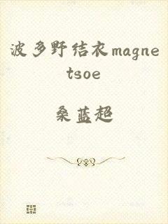 波多野结衣magnetsoe