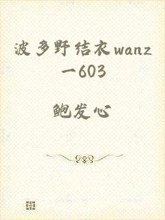 波多野结衣wanz一603