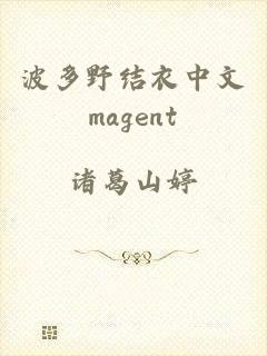 波多野结衣中文magent