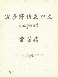 波多野结衣中文magent