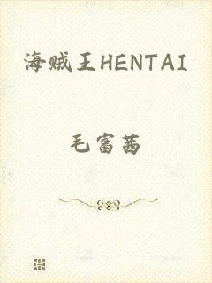 海贼王HENTAI