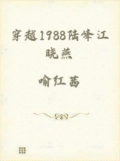 穿越1988陆峰江晓燕