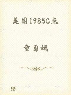 美国1985C点