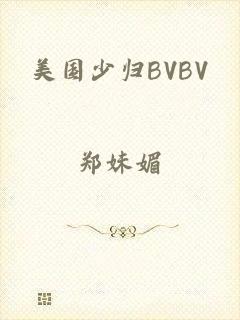 美国少归BVBV