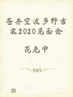 苍井空波多野吉衣2020见面会