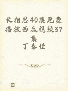 长相思40集免费播放西瓜视频37集