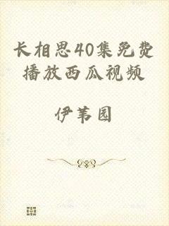 长相思40集免费播放西瓜视频