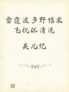 雷霆波多野结衣飞机杯清洗