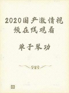 2020国产激情视频在线观看