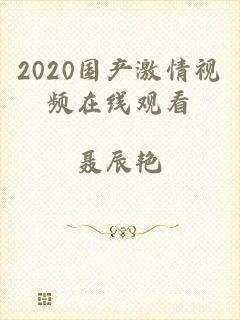 2020国产激情视频在线观看