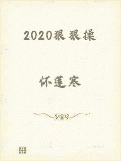 2020狠狠操