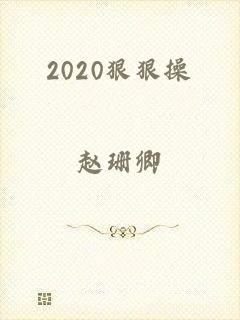 2020狠狠操