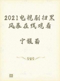 2021电视剧扫黑风暴在线观看