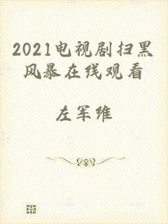 2021电视剧扫黑风暴在线观看