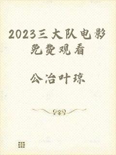 2023三大队电影免费观看