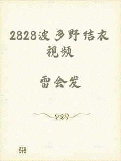 2828波多野结衣视频