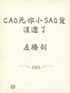 CAO死你小SAO货湿透了