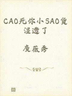 CAO死你小SAO货湿透了