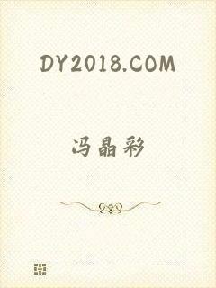 DY2018.COM