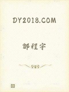 DY2018.COM