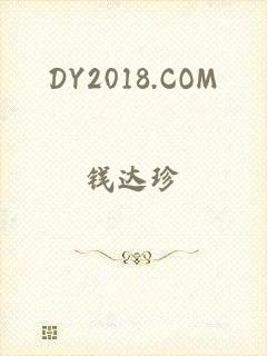 DY2018.COM