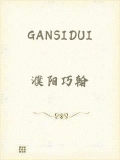 GANSIDUI