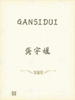 GANSIDUI