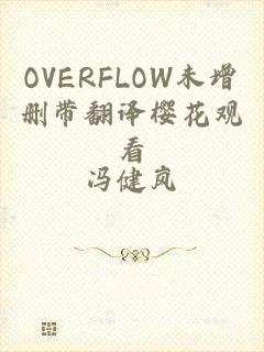 OVERFLOW未增删带翻译樱花观看