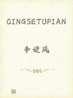 QINGSETUPIAN