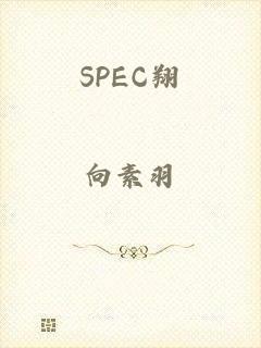 SPEC翔