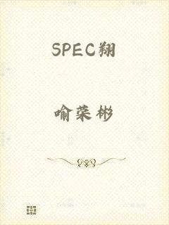 SPEC翔